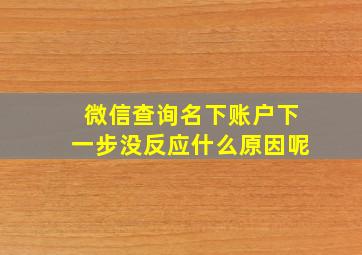 微信查询名下账户下一步没反应什么原因呢