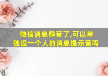 微信消息静音了,可以单独设一个人的消息提示音吗