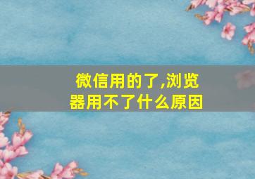 微信用的了,浏览器用不了什么原因