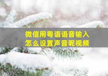 微信用粤语语音输入怎么设置声音呢视频