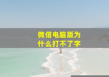 微信电脑版为什么打不了字