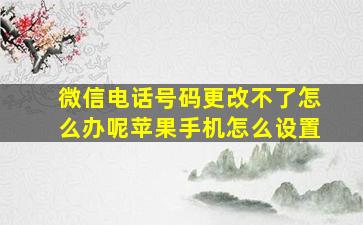 微信电话号码更改不了怎么办呢苹果手机怎么设置