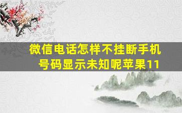 微信电话怎样不挂断手机号码显示未知呢苹果11