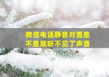 微信电话静音对面是不是就听不见了声音