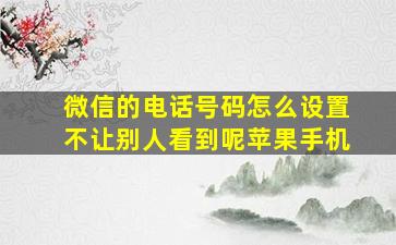 微信的电话号码怎么设置不让别人看到呢苹果手机