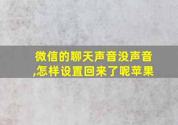 微信的聊天声音没声音,怎样设置回来了呢苹果