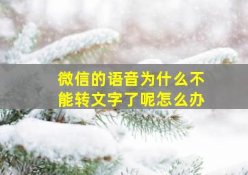 微信的语音为什么不能转文字了呢怎么办