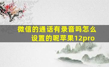 微信的通话有录音吗怎么设置的呢苹果12pro