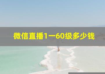 微信直播1一60级多少钱