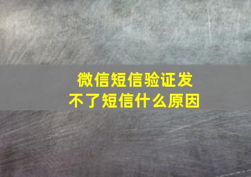 微信短信验证发不了短信什么原因