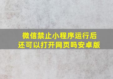 微信禁止小程序运行后还可以打开网页吗安卓版