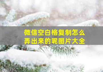 微信空白格复制怎么弄出来的呢图片大全