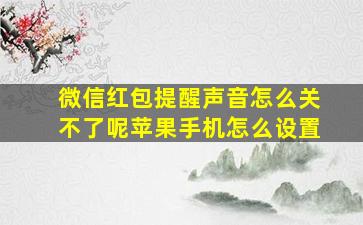 微信红包提醒声音怎么关不了呢苹果手机怎么设置