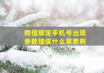 微信绑定手机号出现参数错误什么意思啊