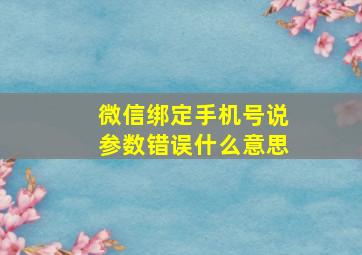 微信绑定手机号说参数错误什么意思