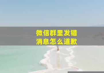 微信群里发错消息怎么道歉