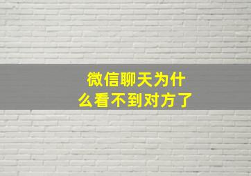 微信聊天为什么看不到对方了