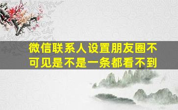 微信联系人设置朋友圈不可见是不是一条都看不到