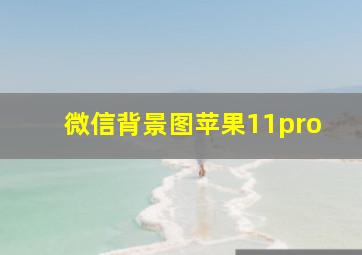 微信背景图苹果11pro