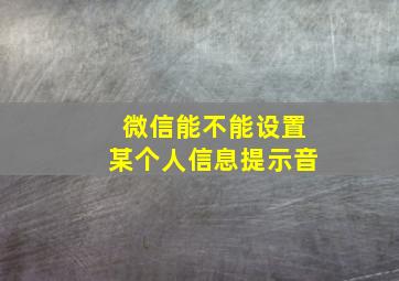 微信能不能设置某个人信息提示音