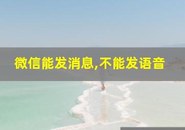 微信能发消息,不能发语音