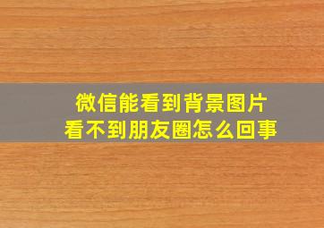 微信能看到背景图片看不到朋友圈怎么回事