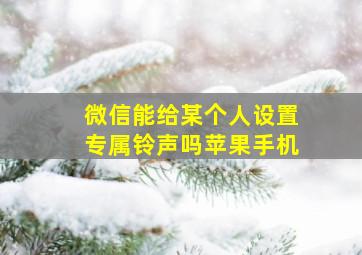 微信能给某个人设置专属铃声吗苹果手机