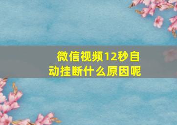 微信视频12秒自动挂断什么原因呢