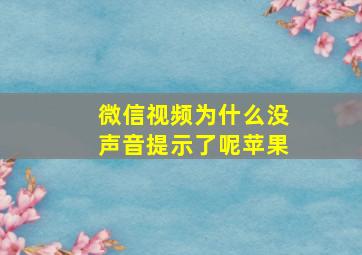 微信视频为什么没声音提示了呢苹果