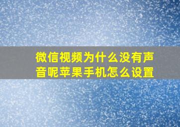 微信视频为什么没有声音呢苹果手机怎么设置