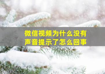 微信视频为什么没有声音提示了怎么回事