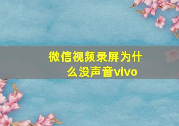 微信视频录屏为什么没声音vivo