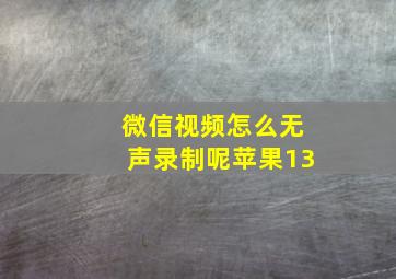 微信视频怎么无声录制呢苹果13