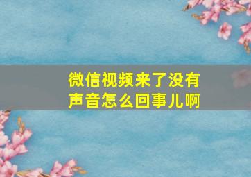 微信视频来了没有声音怎么回事儿啊