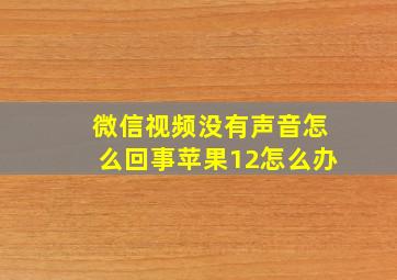 微信视频没有声音怎么回事苹果12怎么办