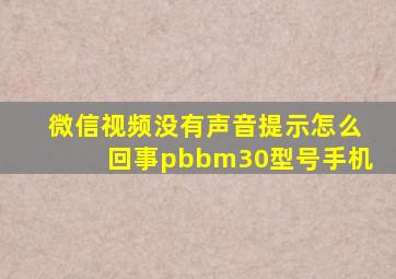 微信视频没有声音提示怎么回事pbbm30型号手机