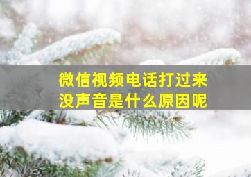 微信视频电话打过来没声音是什么原因呢