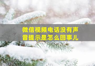 微信视频电话没有声音提示是怎么回事儿