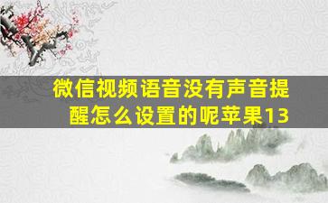 微信视频语音没有声音提醒怎么设置的呢苹果13