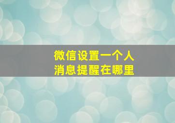 微信设置一个人消息提醒在哪里