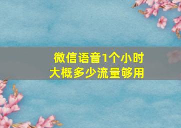 微信语音1个小时大概多少流量够用