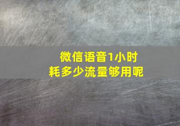 微信语音1小时耗多少流量够用呢