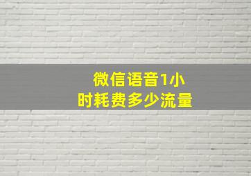 微信语音1小时耗费多少流量