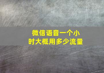 微信语音一个小时大概用多少流量