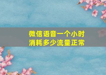 微信语音一个小时消耗多少流量正常