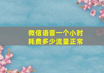 微信语音一个小时耗费多少流量正常