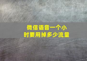 微信语音一个小时要用掉多少流量