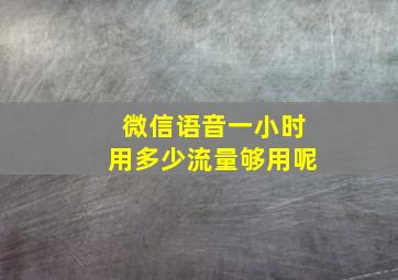 微信语音一小时用多少流量够用呢