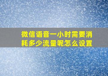 微信语音一小时需要消耗多少流量呢怎么设置