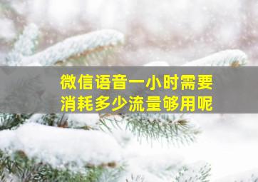 微信语音一小时需要消耗多少流量够用呢